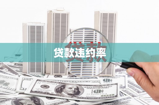 太白贷款违约率