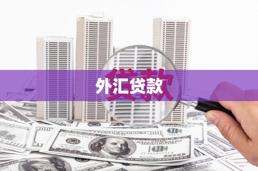 太白外汇贷款