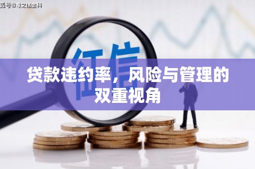 太白贷款违约率，风险与管理的双重视角