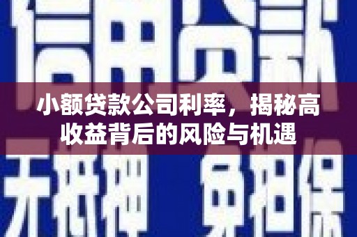 太白小额贷款公司利率，揭秘高收益背后的风险与机遇