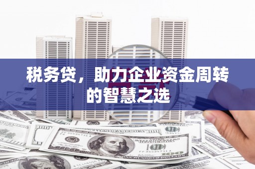 太白税务贷，助力企业资金周转的智慧之选