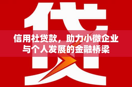 太白信用社贷款，助力小微企业与个人发展的金融桥梁