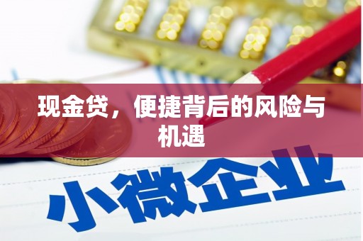 太白现金贷，便捷背后的风险与机遇