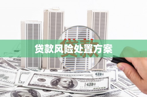 太白贷款风险处置方案