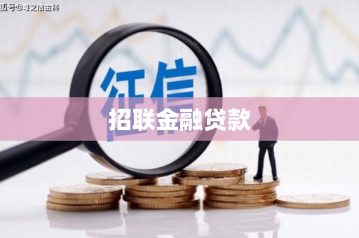 太白招联金融贷款