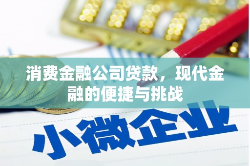 太白消费金融公司贷款，现代金融的便捷与挑战