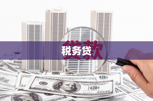 太白税务贷