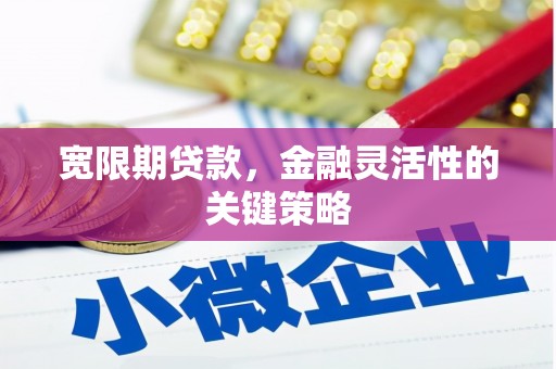 太白宽限期贷款，金融灵活性的关键策略
