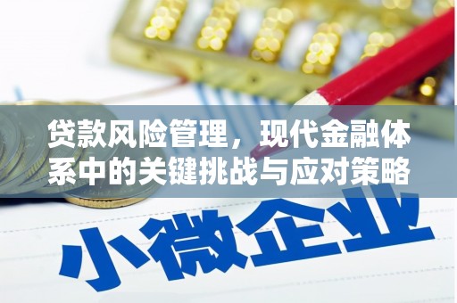 太白贷款风险管理，现代金融体系中的关键挑战与应对策略