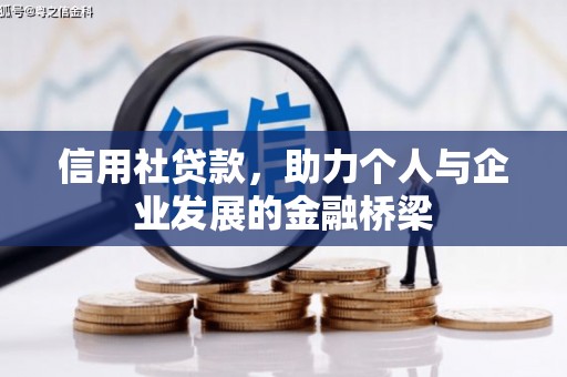 太白信用社贷款，助力个人与企业发展的金融桥梁