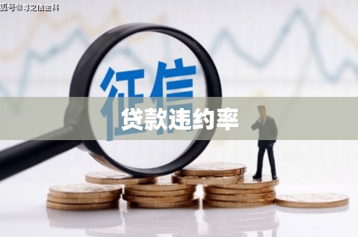 太白贷款违约率