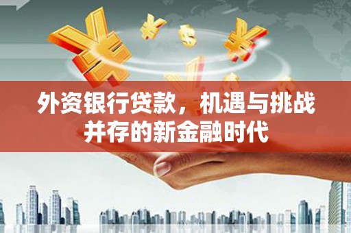 太白外资银行贷款，机遇与挑战并存的新金融时代
