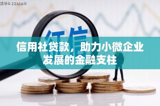 太白信用社贷款，助力小微企业发展的金融支柱