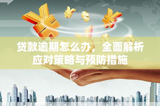 太白贷款逾期怎么办，全面解析应对策略与预防措施