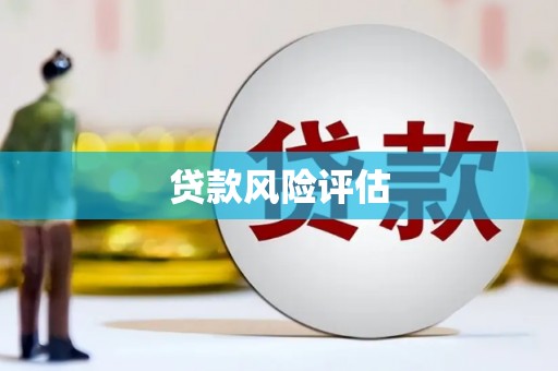 太白贷款风险评估