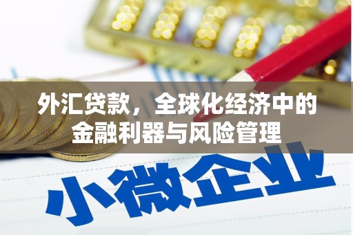 太白外汇贷款，全球化经济中的金融利器与风险管理