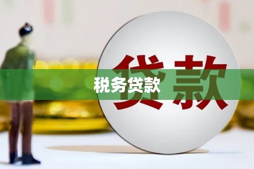 太白税务贷款