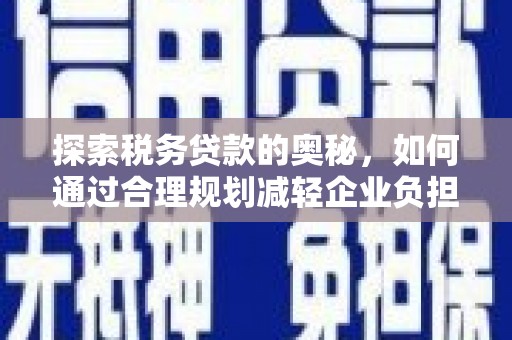 太白探索税务贷款的奥秘，如何通过合理规划减轻企业负担