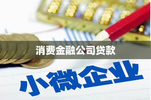 太白消费金融公司贷款