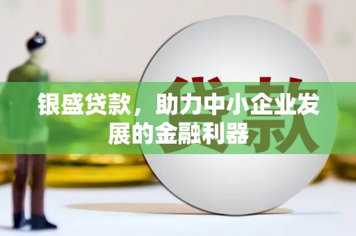 太白银盛贷款，助力中小企业发展的金融利器