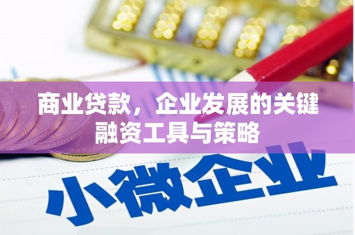 太白商业贷款，企业发展的关键融资工具与策略