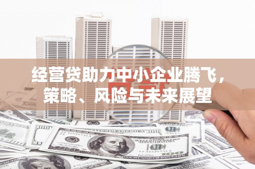 太白经营贷助力中小企业腾飞，策略、风险与未来展望