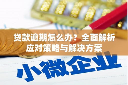 太白贷款逾期怎么办？全面解析应对策略与解决方案