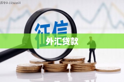 太白外汇贷款
