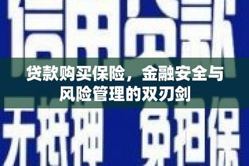 太白贷款购买保险，金融安全与风险管理的双刃剑