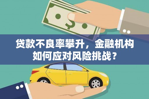 太白贷款不良率攀升，金融机构如何应对风险挑战？