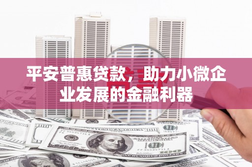 太白平安普惠贷款，助力小微企业发展的金融利器