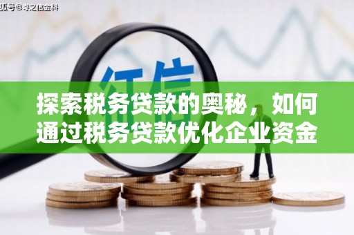 太白探索税务贷款的奥秘，如何通过税务贷款优化企业资金流