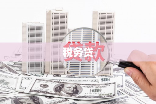 太白税务贷
