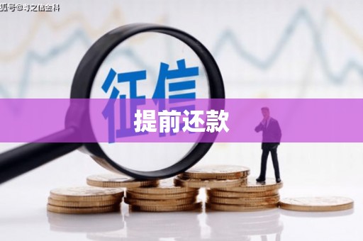 太白提前还款