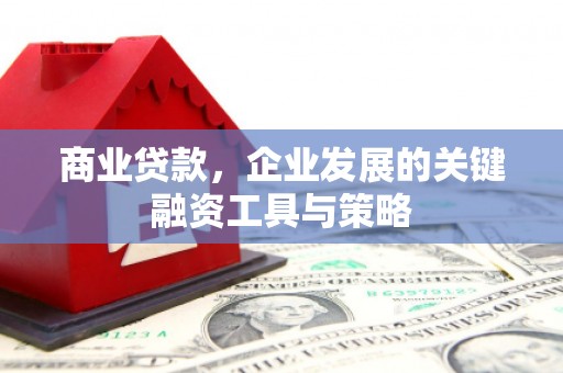 太白商业贷款，企业发展的关键融资工具与策略