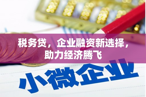 太白税务贷，企业融资新选择，助力经济腾飞