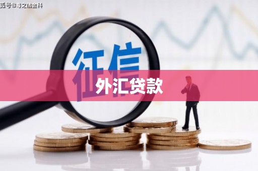 太白外汇贷款