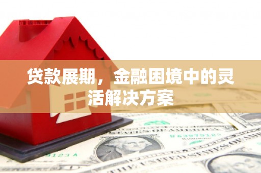 太白贷款展期，金融困境中的灵活解决方案