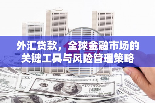 太白外汇贷款，全球金融市场的关键工具与风险管理策略