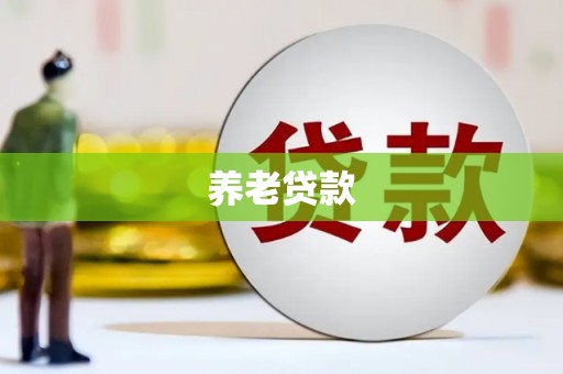 太白养老贷款