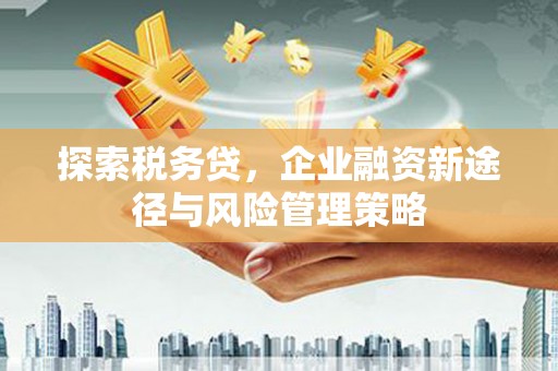 太白探索税务贷，企业融资新途径与风险管理策略
