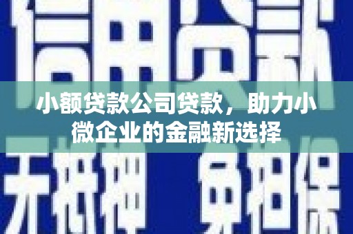 太白小额贷款公司贷款，助力小微企业的金融新选择
