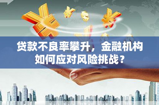 太白贷款不良率攀升，金融机构如何应对风险挑战？