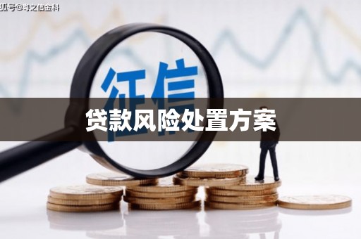 太白贷款风险处置方案