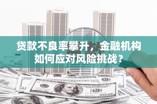 太白贷款不良率攀升，金融机构如何应对风险挑战？