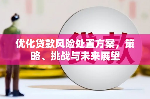 太白优化贷款风险处置方案，策略、挑战与未来展望