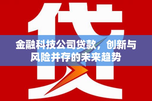 太白金融科技公司贷款，创新与风险并存的未来趋势