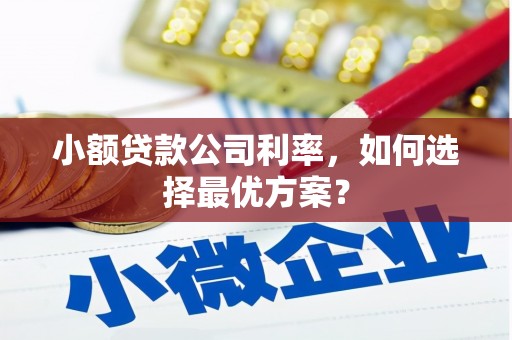 太白小额贷款公司利率，如何选择最优方案？