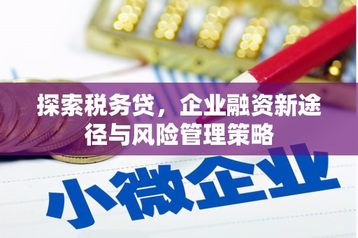 太白探索税务贷，企业融资新途径与风险管理策略
