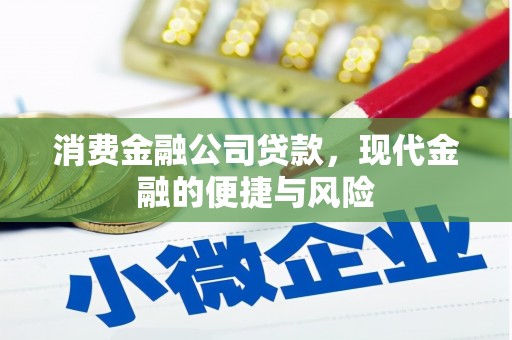 太白消费金融公司贷款，现代金融的便捷与风险